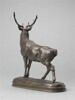 Cerf qui écoute, image 4/5