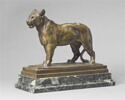 Tigre debout, image 1/6