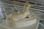Un chien, image 5/5