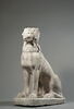 Chien à museau court (dogue ?), image 5/5