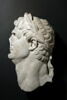 Tête masculine (Titus ?) laurée à gauche, image 1/2