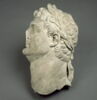 Tête masculine (Titus ?) laurée à gauche, image 2/2