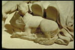 Robine Legendre (+ 15 avril 1520)  et un chien portant les armoiries de la défunte, image 5/5