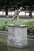 Apollon poursuivant Daphné, image 1/4