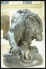 Lion au serpent, image 9/9