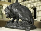Lion au serpent, image 6/9