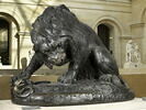 Lion au serpent, image 7/9