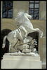 Cheval retenu par un palefrenier, image 9/12