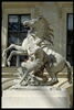 Cheval retenu par un palefrenier, image 11/12