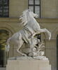 Cheval retenu par un palefrenier, image 3/12