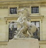 Cheval retenu par un palefrenier, image 1/12