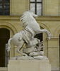 Cheval retenu par un palefrenier, image 6/12