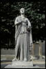 Muse, dite Terpischore, ou Erato, image 7/10