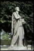 Muse, dite Terpischore, ou Erato, image 8/10