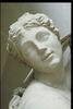 Vénus callipyge, image 11/11