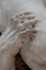 Milon de Crotone, image 32/43