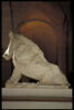 Sanglier, image 4/4
