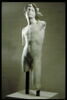 Mercure flûteur, image 11/13