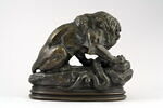 Lion au serpent, image 4/9