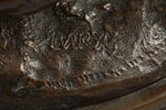 Deux jeunes lions, image 9/9