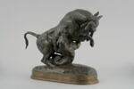 Taureau surpris par un tigre, image 2/9