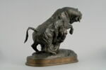Taureau surpris par un tigre, image 3/9