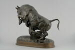Taureau surpris par un tigre, image 5/9