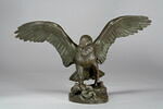 Aigle emportant un serpent, image 1/10