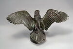 Aigle emportant un serpent, image 8/10