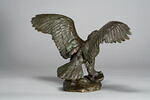 Aigle emportant un serpent, image 9/10