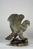Aigle emportant un serpent, image 10/10
