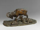 Famille de bouquetins, image 1/2