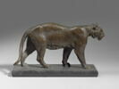 Tigre debout, image 2/3