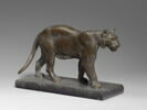Tigre debout, image 1/3