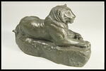 Panthère de l'Inde (?), image 3/4