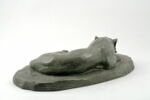 Jaguar dormant, image 5/9