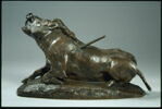 Sanglier blessé N° 2, image 2/5