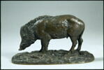 Sanglier blessé N° 2, image 5/5