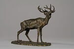 Cerf bramant, image 2/7
