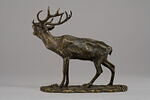 Cerf bramant, image 4/7