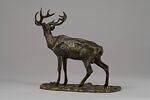 Cerf bramant, image 5/7