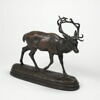 Cerf qui marche, image 1/2