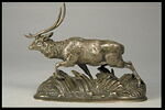 Cerf de Java, image 1/4