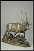 Cerf de Java, image 3/4