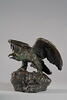 Aigle les ailes étendues le bec ouvert, image 3/9