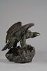Aigle les ailes étendues le bec ouvert, image 8/9
