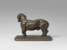 Basset debout, image 2/2