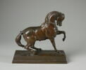 Cheval turc n°2, image 1/2