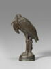 Cigogne, image 5/5