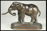 Éléphant de Cochinchine arrêté, image 4/7
